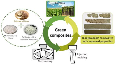  L'Alginate: Vers la Biodégradabilité et la Gestion Durable des Ressources!