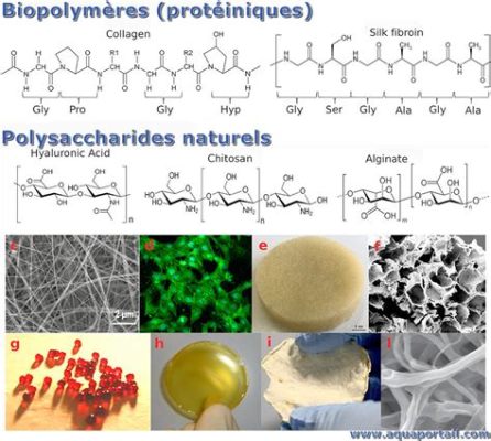  Gum Arabic: Le Polymère Naturel Multifonctionnel pour les Applications Alimentaires et Pharmaceutiques !