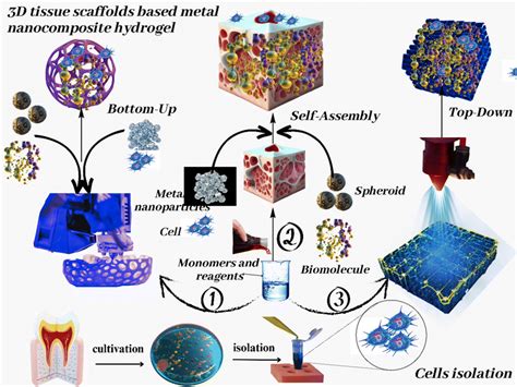 Hydrogel Nanocomposite: Révolutionnant les Biomatériaux et les Technologies de Libération Contrôlée!