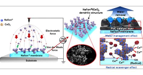  Ionomère: Un polymère multifonctionnel pour une durabilité accrue!