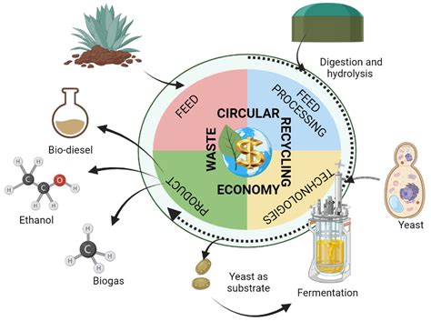 Isobutanol : Un alcool polyvalent pour l'industrie chimique et la production de biocarburants !