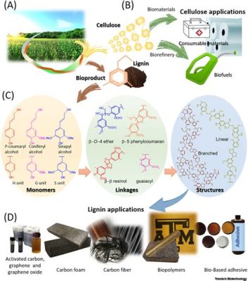  Lignin ! Une Substance Inattendue Pour un Futur Durable en Biomatériaux