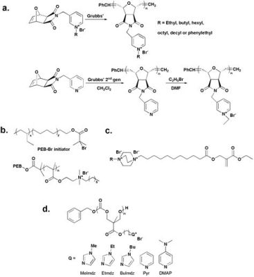  Quaternary Ammonium Iodide Salts: Des Champions de L’Énergie Solaire Perpétuelle!