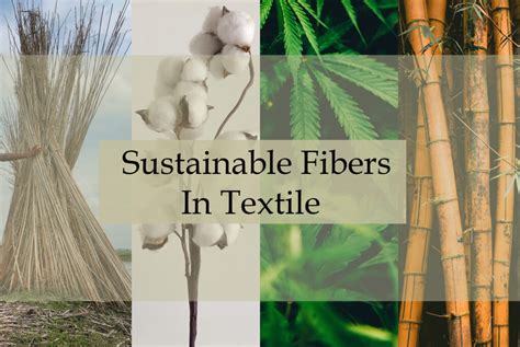 Tencel: Un textile révolutionnaire issu de fibres de bois pour l'industrie du vêtement durable!